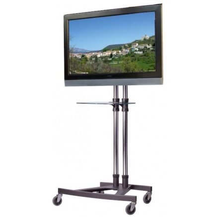 65 inch Flat Screen TV